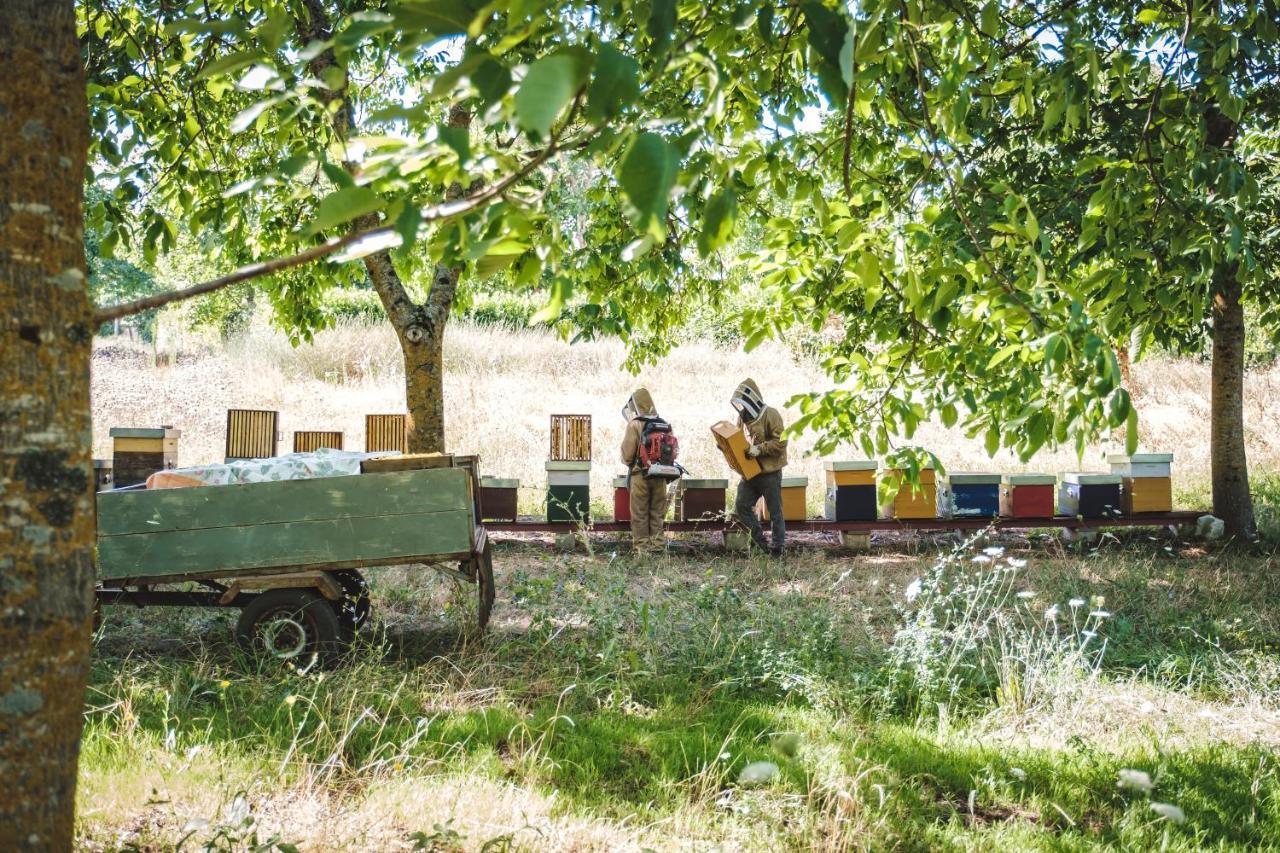 Agriturismo Bellofatto Torella dei Lombardi Exteriér fotografie
