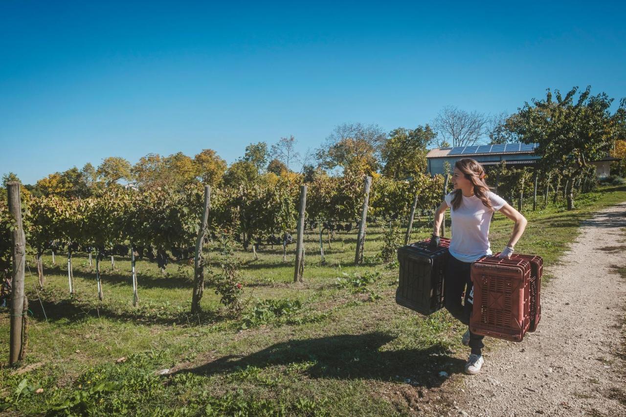 Agriturismo Bellofatto Torella dei Lombardi Exteriér fotografie
